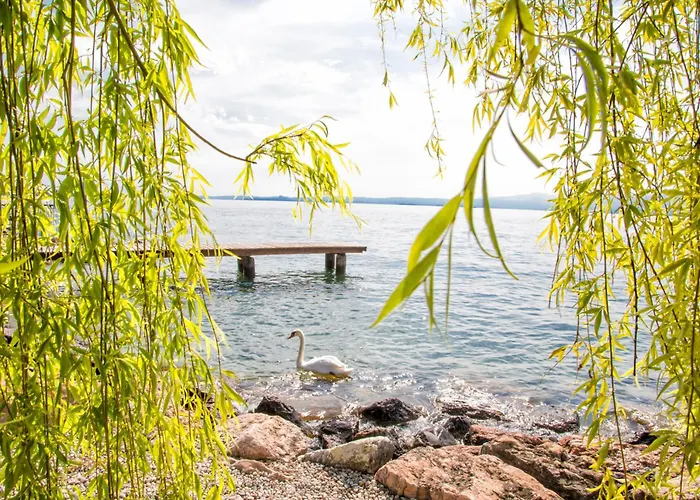 Aparthotel Wieland Torri Del Benaco